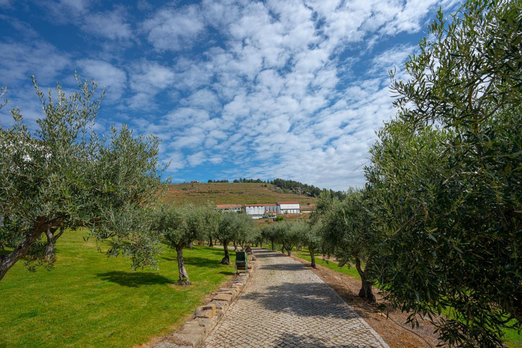 Valonquinta - Agro Hotel & Spa Vila Flor Eksteriør billede